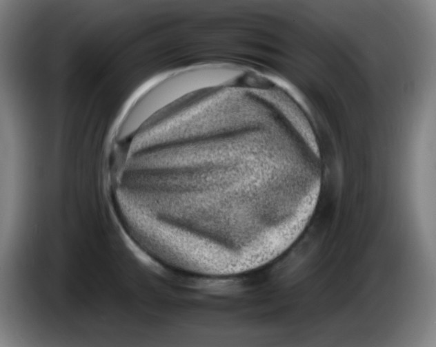 X0000085291143200703301932