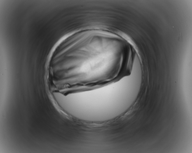 X0000085291144200703301932