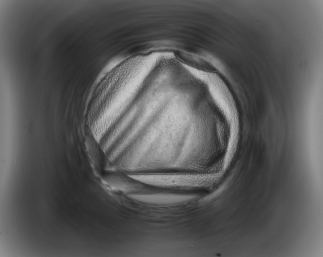 X0000085291145200703301932