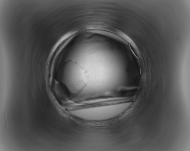 X0000085291146200703301932