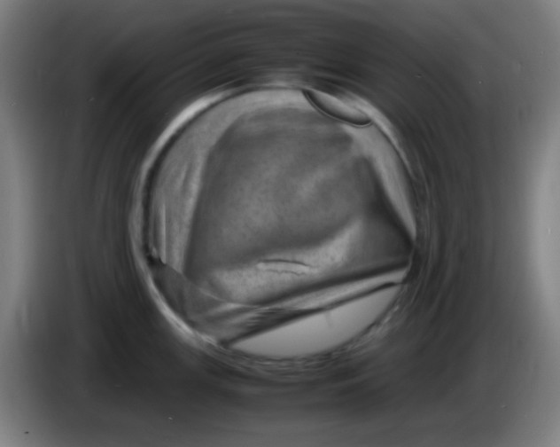 X0000085291147200703301932
