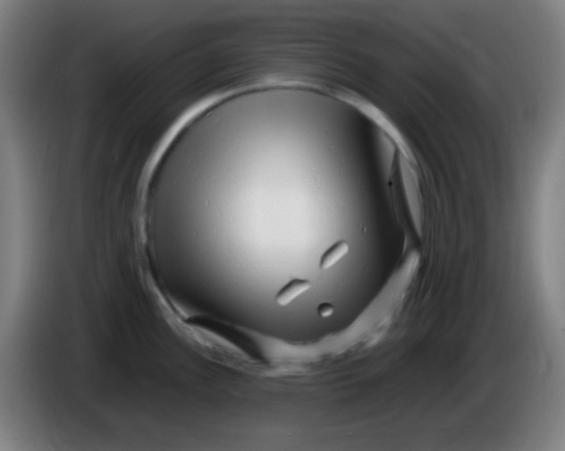 X0000085291148200703301932