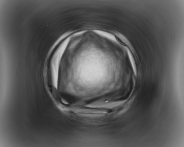 X0000085291149200703301932