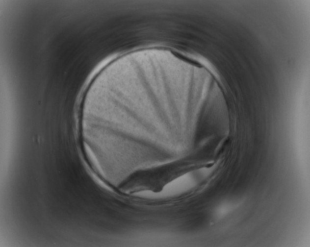 X0000085291151200703301932
