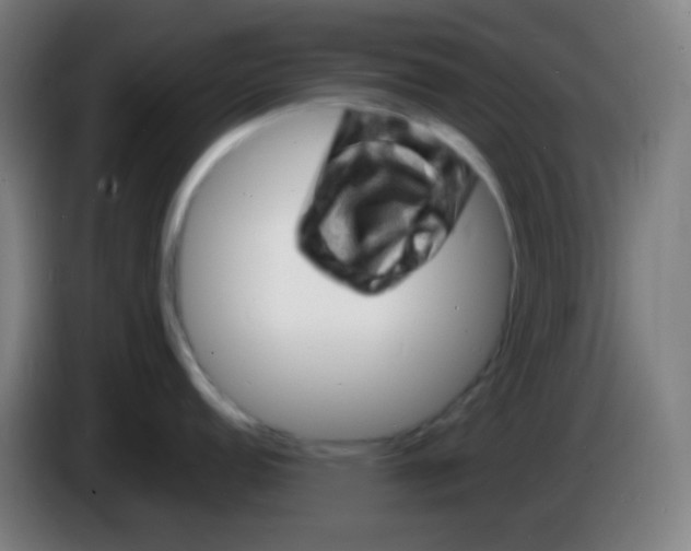 X0000085291152200703301932