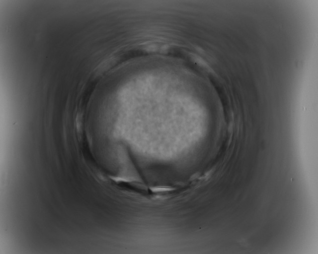 X0000085291154200703301932