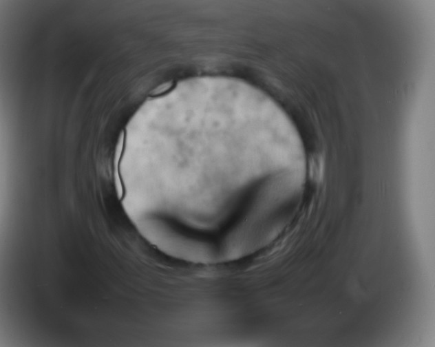 X0000085291155200703301932