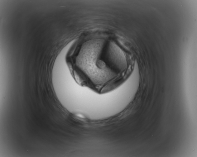 X0000085291156200703301931