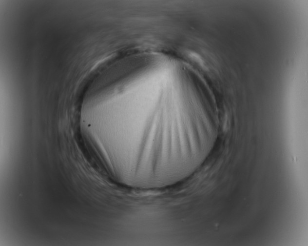 X0000085291157200703301931