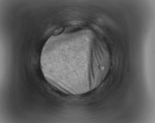 X0000085291158200703301931