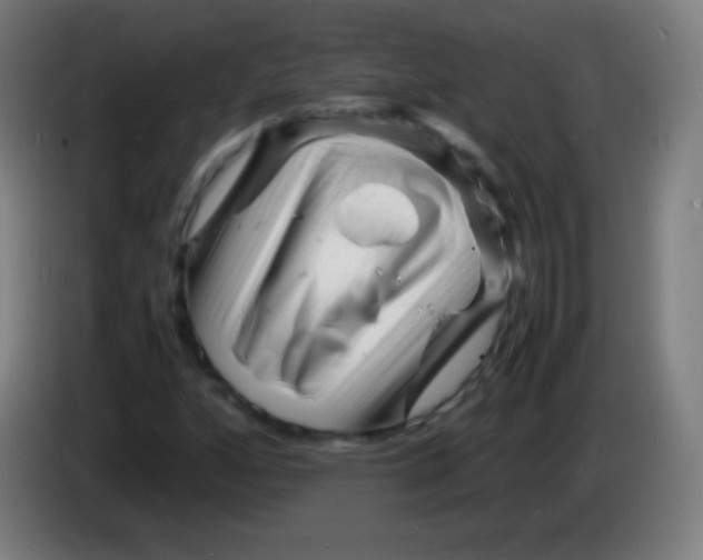 X0000085291160200703301931