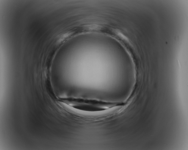 X0000085291161200703301931