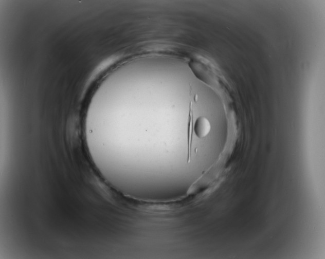 X0000085291164200703301931