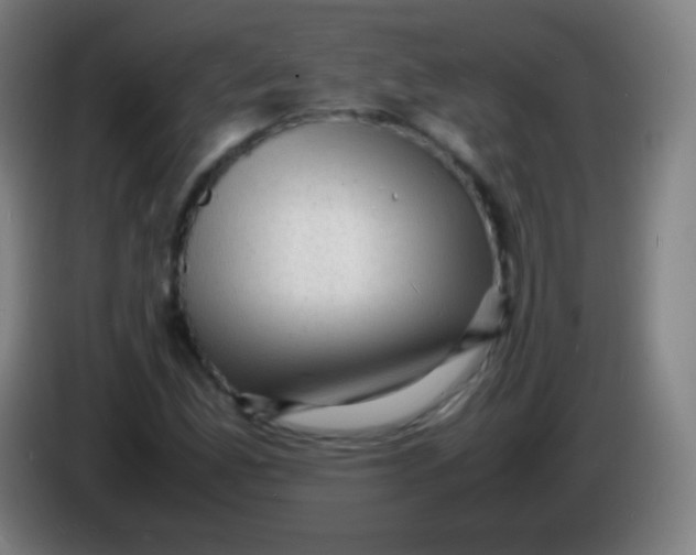 X0000085291165200703301931