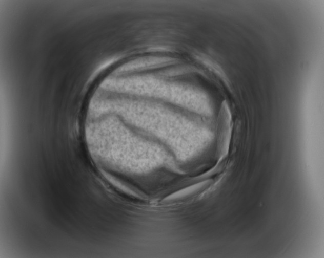 X0000085291166200703301931