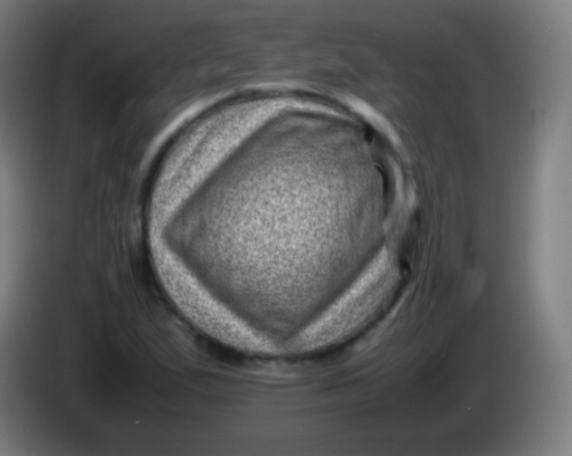X0000085291167200703301931