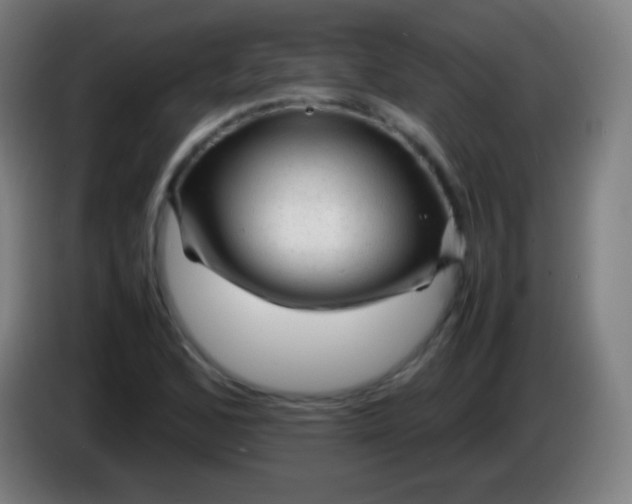 X0000085291168200703301931
