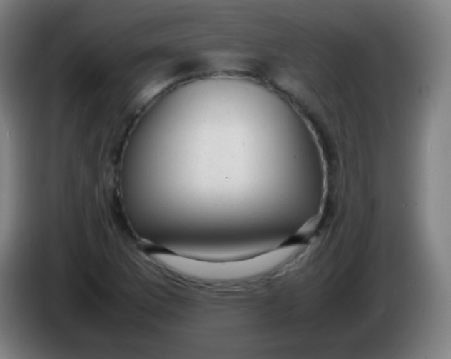 X0000085291169200703301931