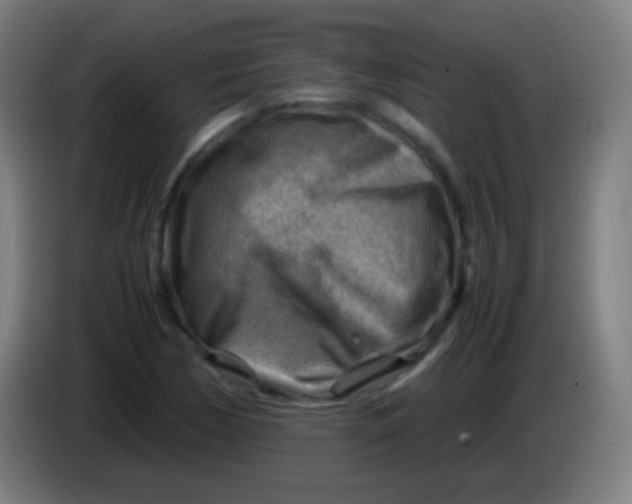 X0000085291170200703301931
