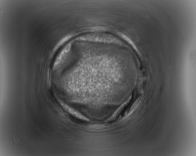 X0000085291171200703301931