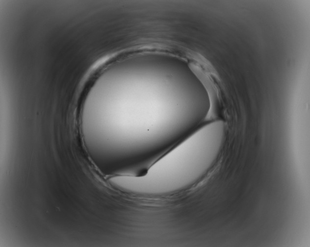 X0000085291172200703301931