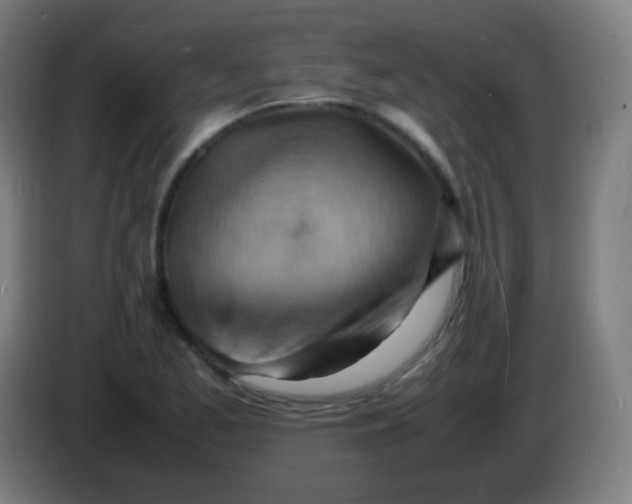 X0000085291173200703301931