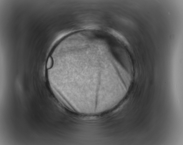 X0000085291174200703301931