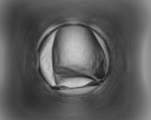 X0000085291175200703301931