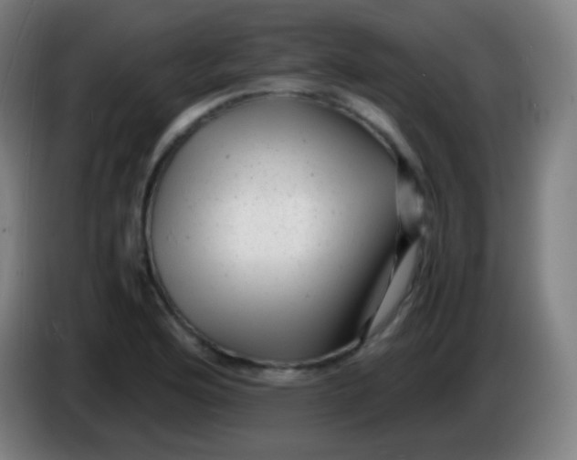 X0000085291176200703301931