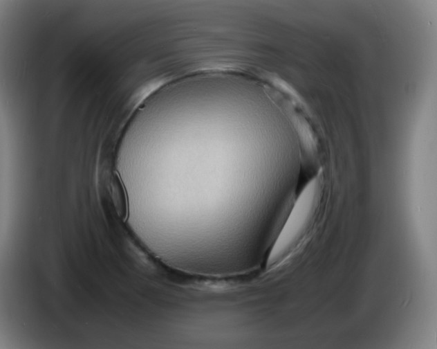 X0000085291177200703301931