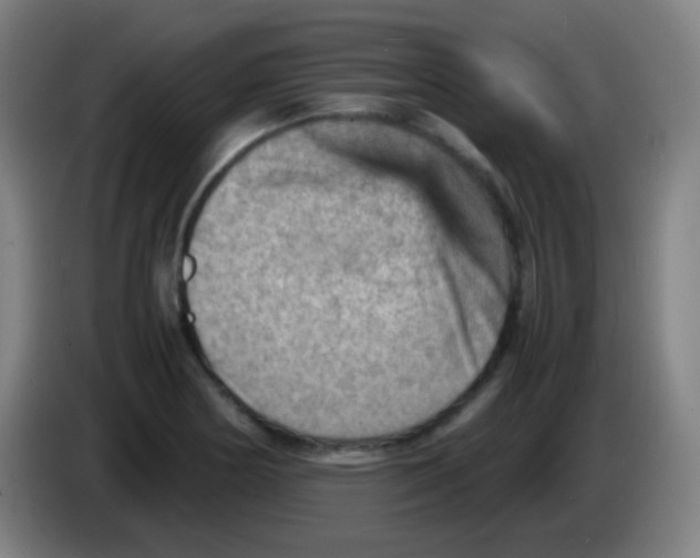 X0000085291178200703301931