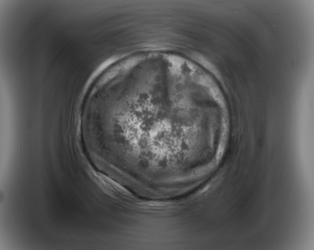 X0000085291179200703301931