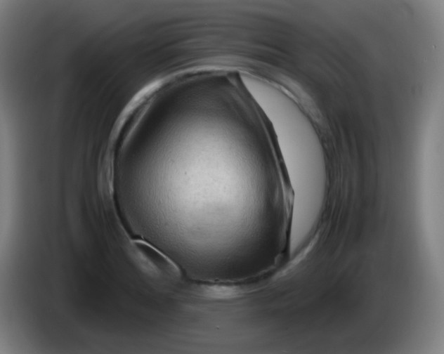 X0000085291180200703301931