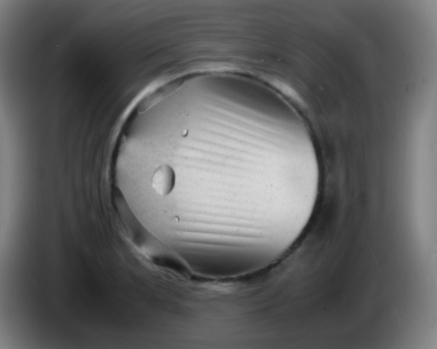 X0000085291181200703301931