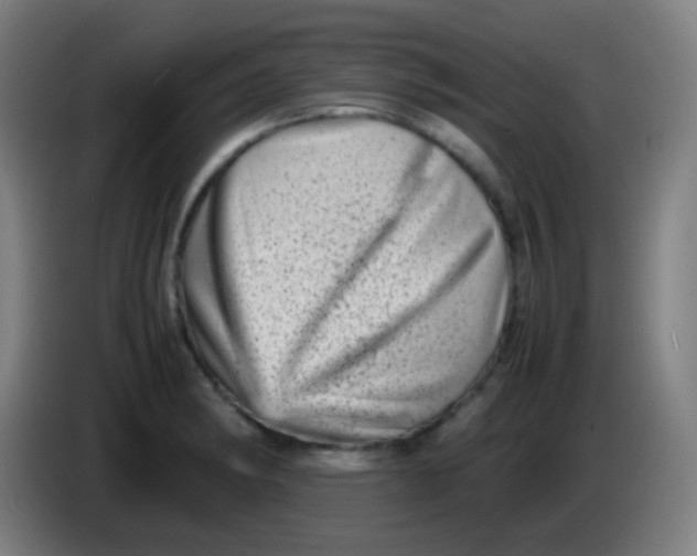 X0000085291182200703301931