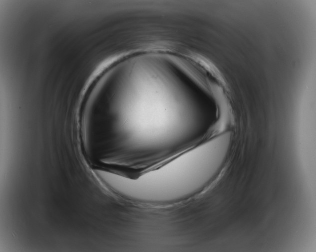 X0000085291184200703301931