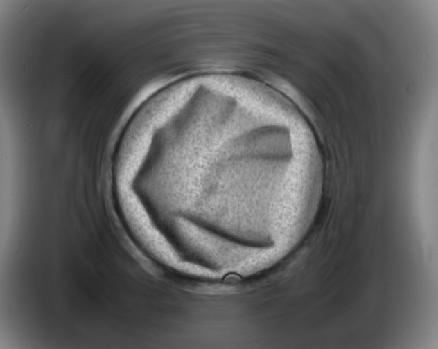 X0000085291187200703301931