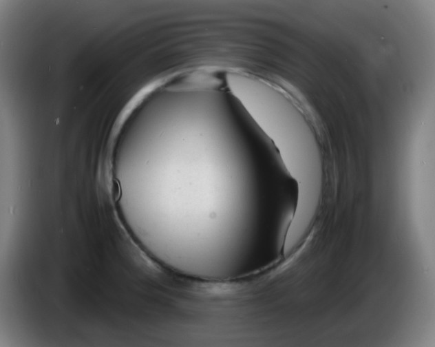X0000085291188200703301931