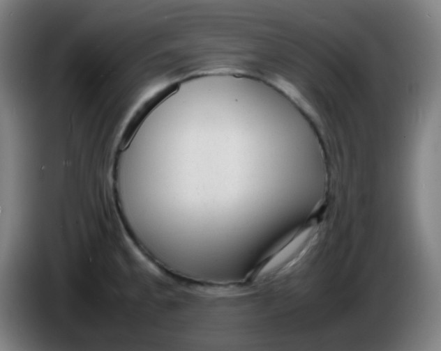 X0000085291189200703301931