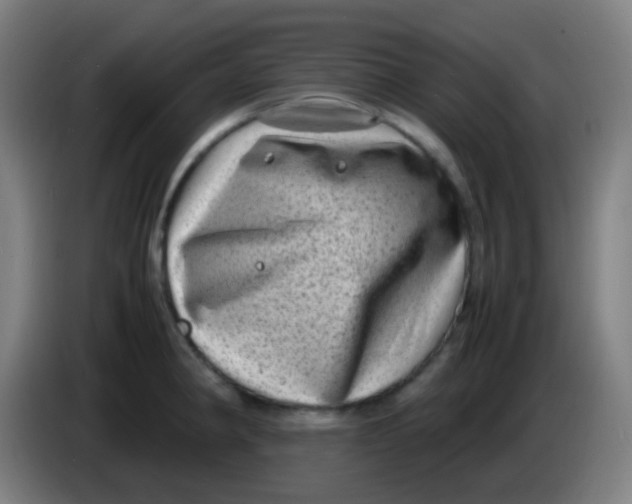 X0000085291190200703301931