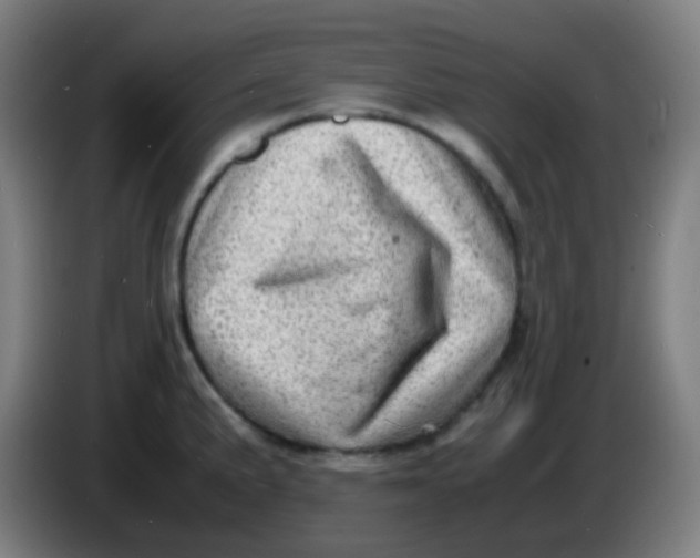 X0000085291191200703301931
