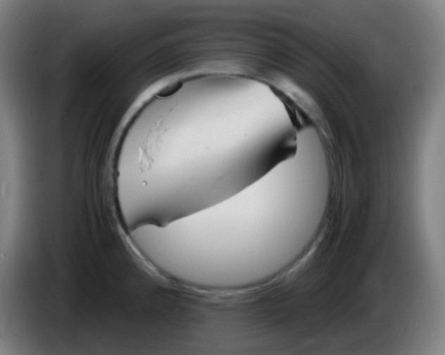 X0000085291192200703301931