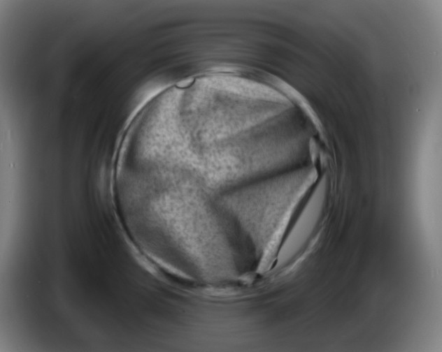 X0000085291194200703301931