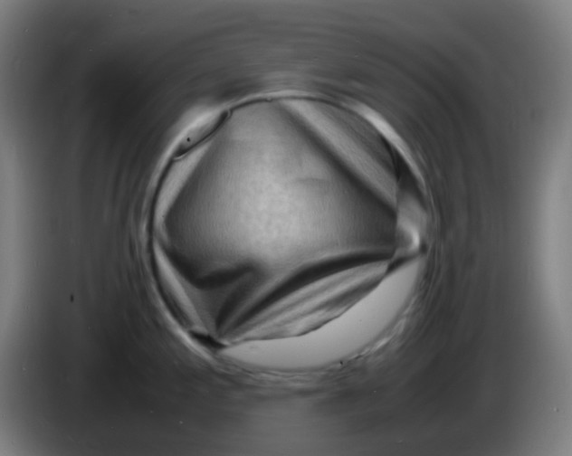 X0000085291197200703301931
