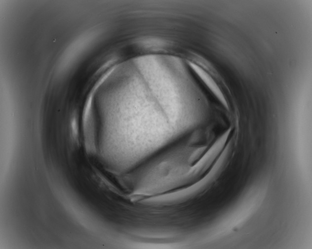 X0000085291198200703301931