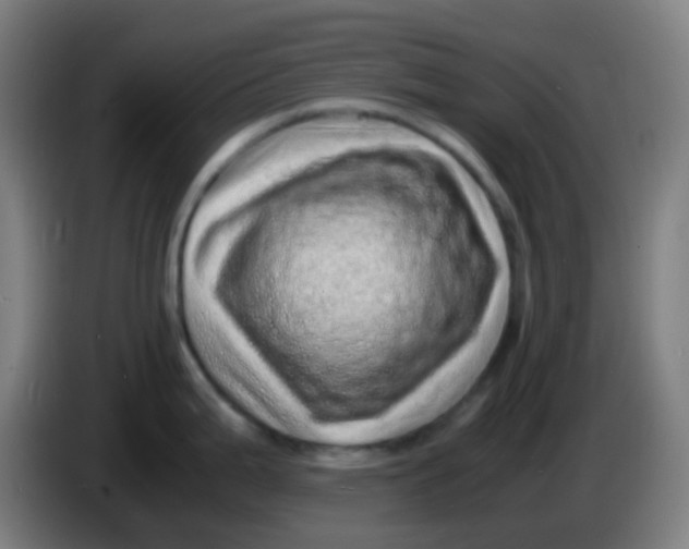 X0000085291199200703301931