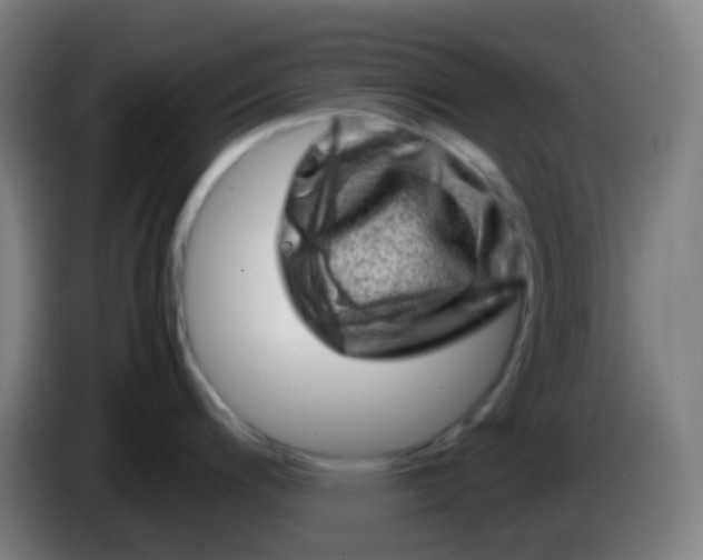 X0000085291200200703301931