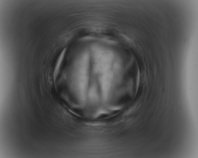 X0000085291202200703301930