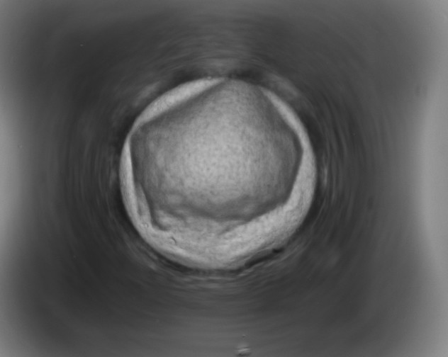 X0000085291204200703301930