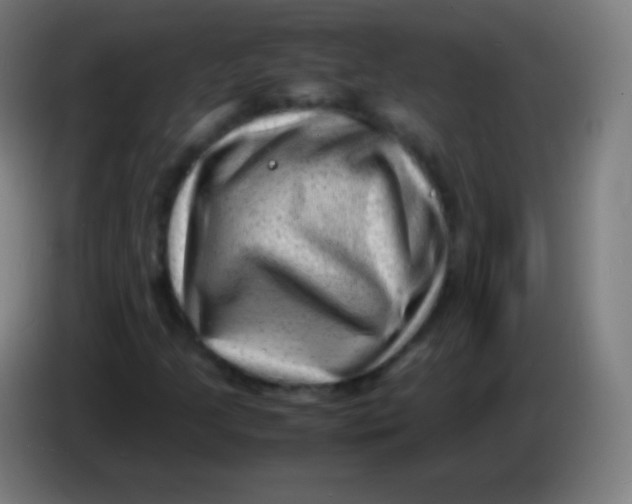X0000085291205200703301930